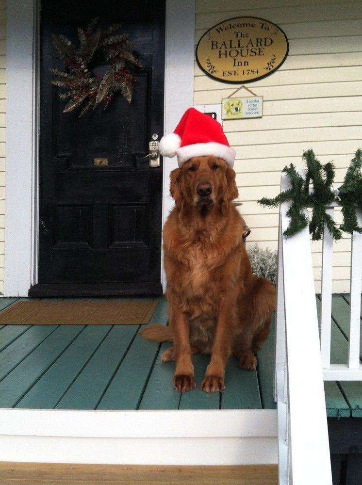 Hotel The Ballard House Inn photo 5