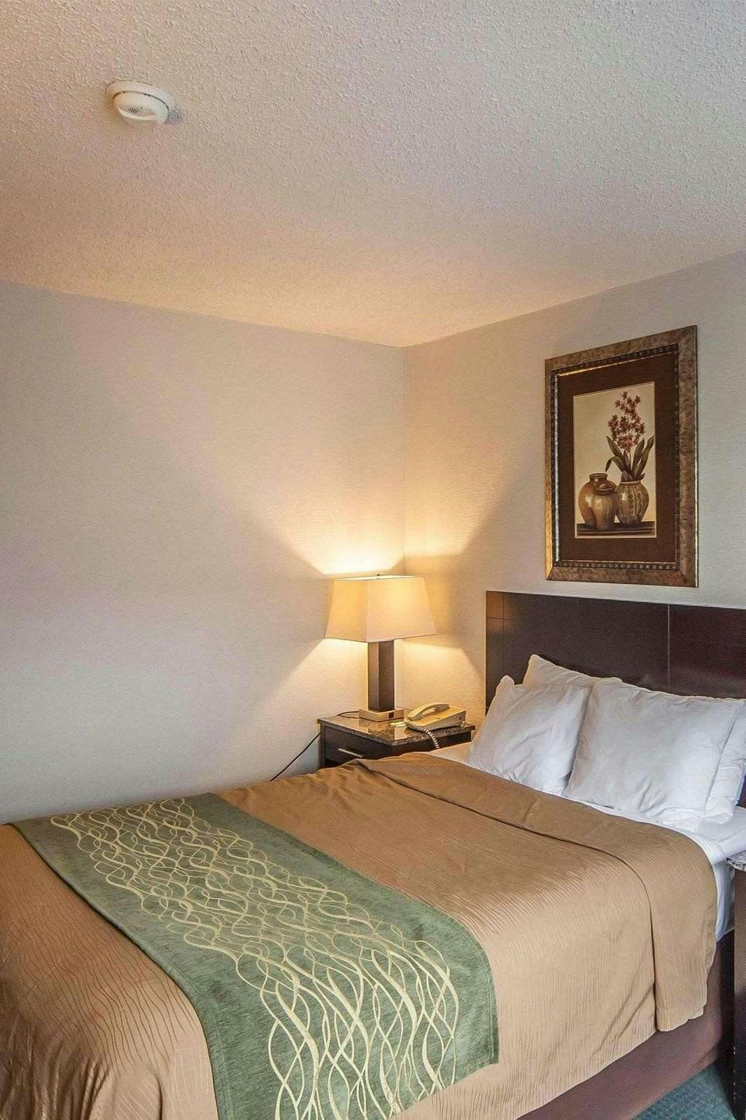 Hotel Comfort Inn & Suites Edmonton photo 1