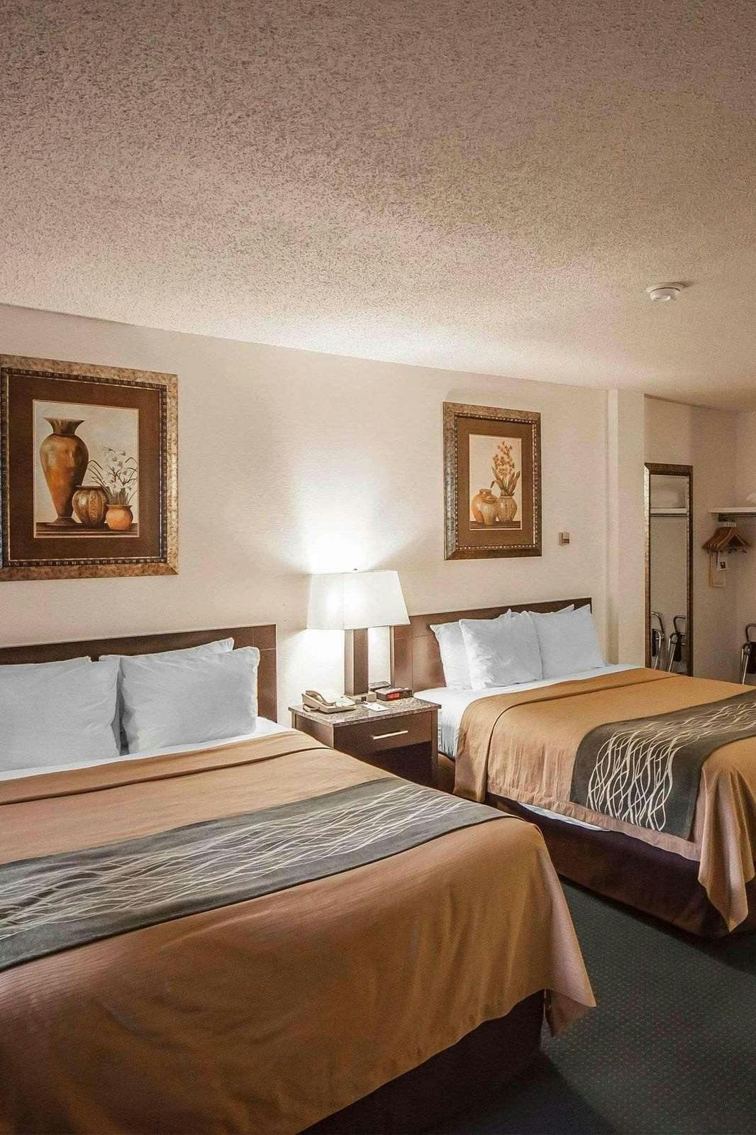 Hotel Comfort Inn & Suites Edmonton photo 2