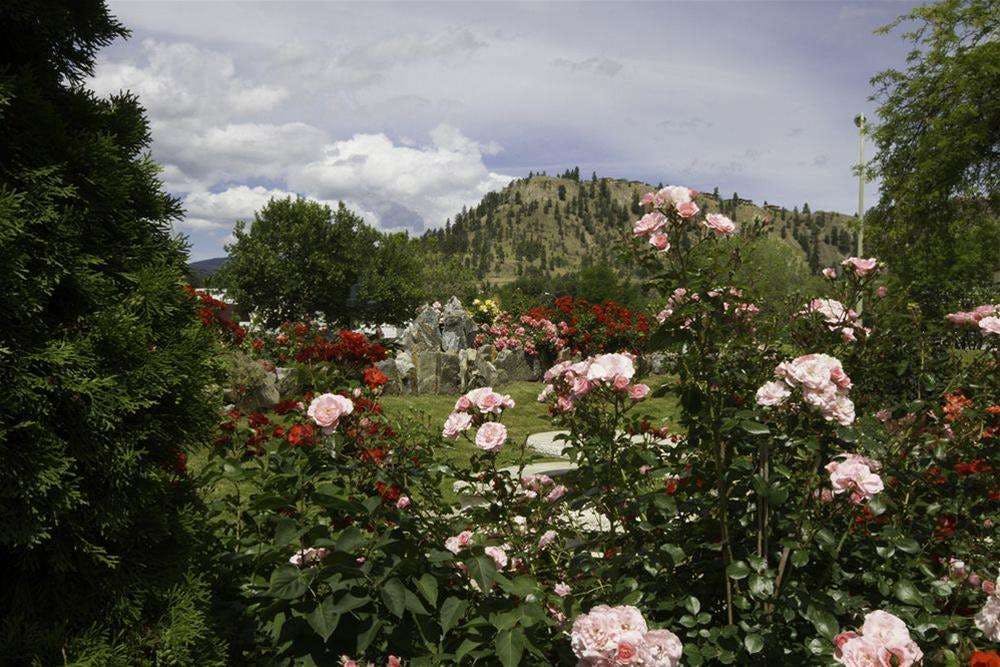 Hotel Dilworth Inn photo 2