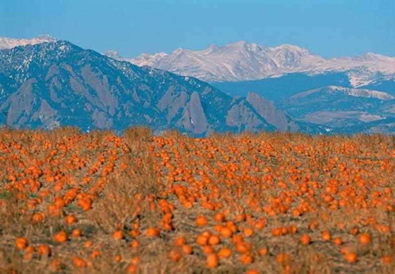 Hotel Courtyard by Marriott Boulder photo 1