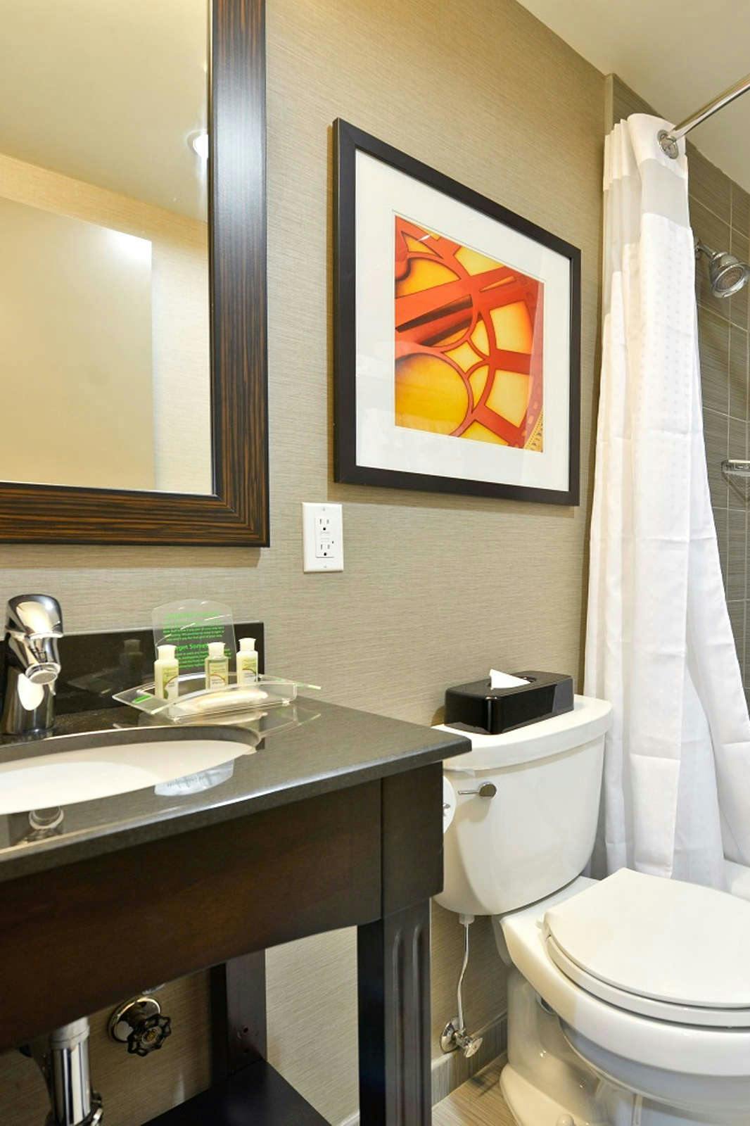 Hotel Holiday Inn Lower East Side photo 4