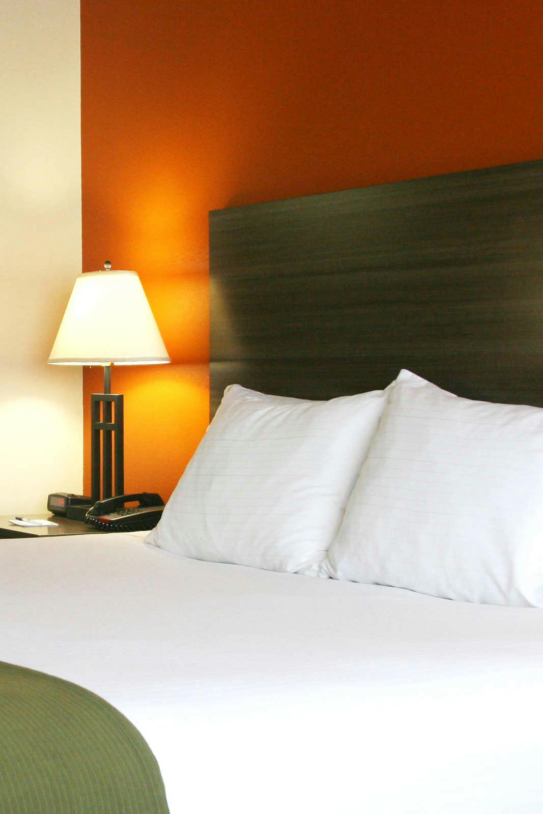 Hotel Holiday Inn Express & Suites Chattanooga-Lookout Mtn, an IHG Hotel photo 1