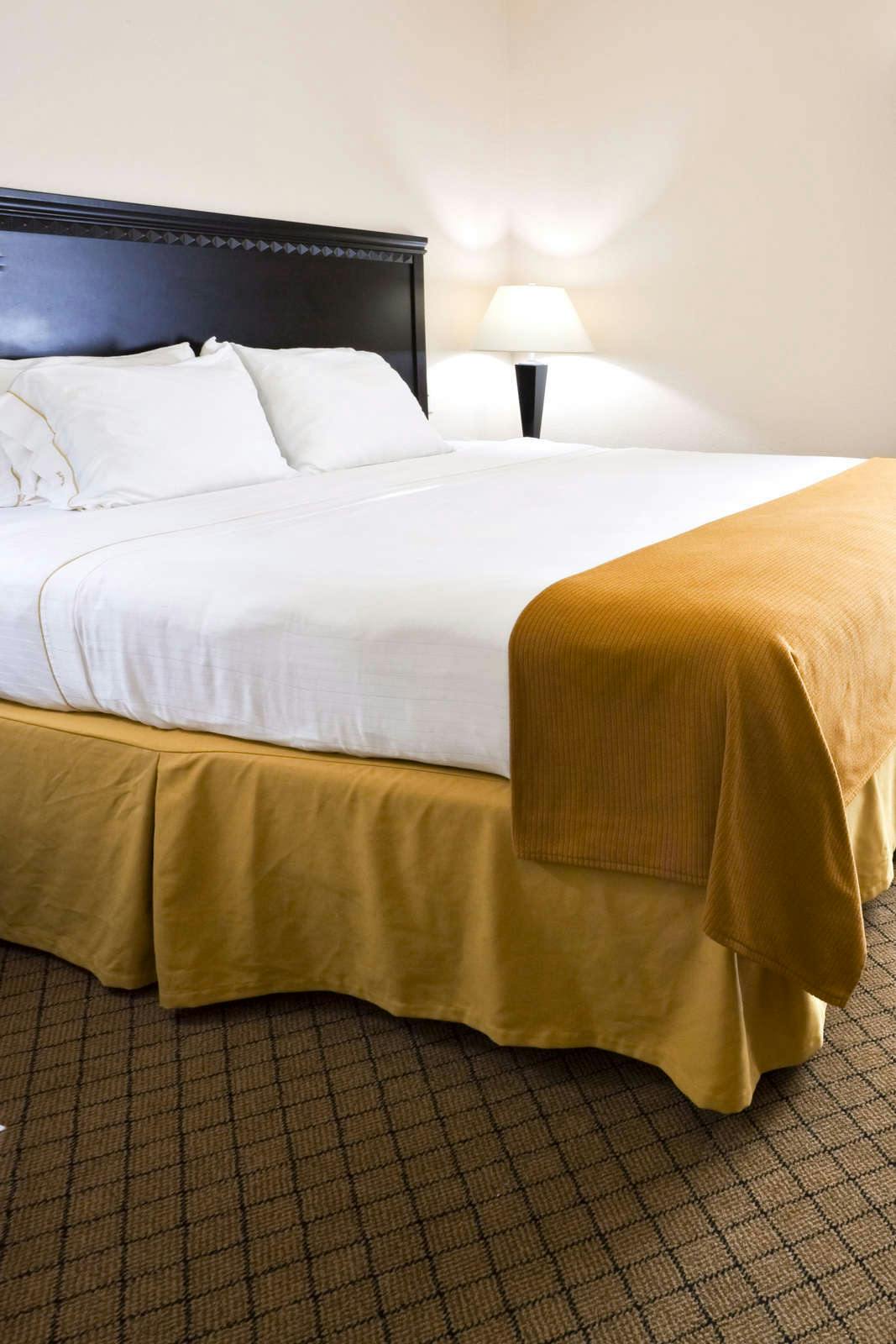 Hotel Holiday Inn Express Venice photo 1