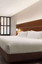 Hotel Holiday Inn Express & Suites Edinburg Mcallen Area photo 1