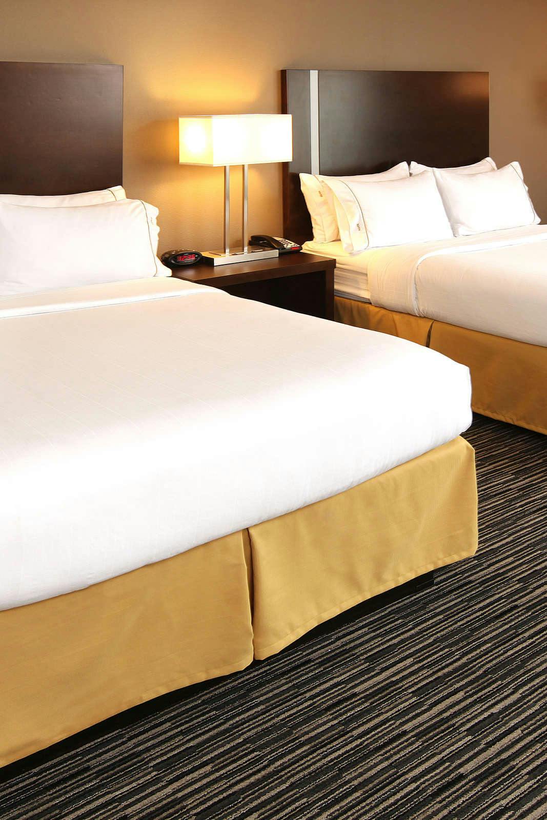 Hotel Holiday Inn Express & Suites Omaha South Ralston Arena photo 4