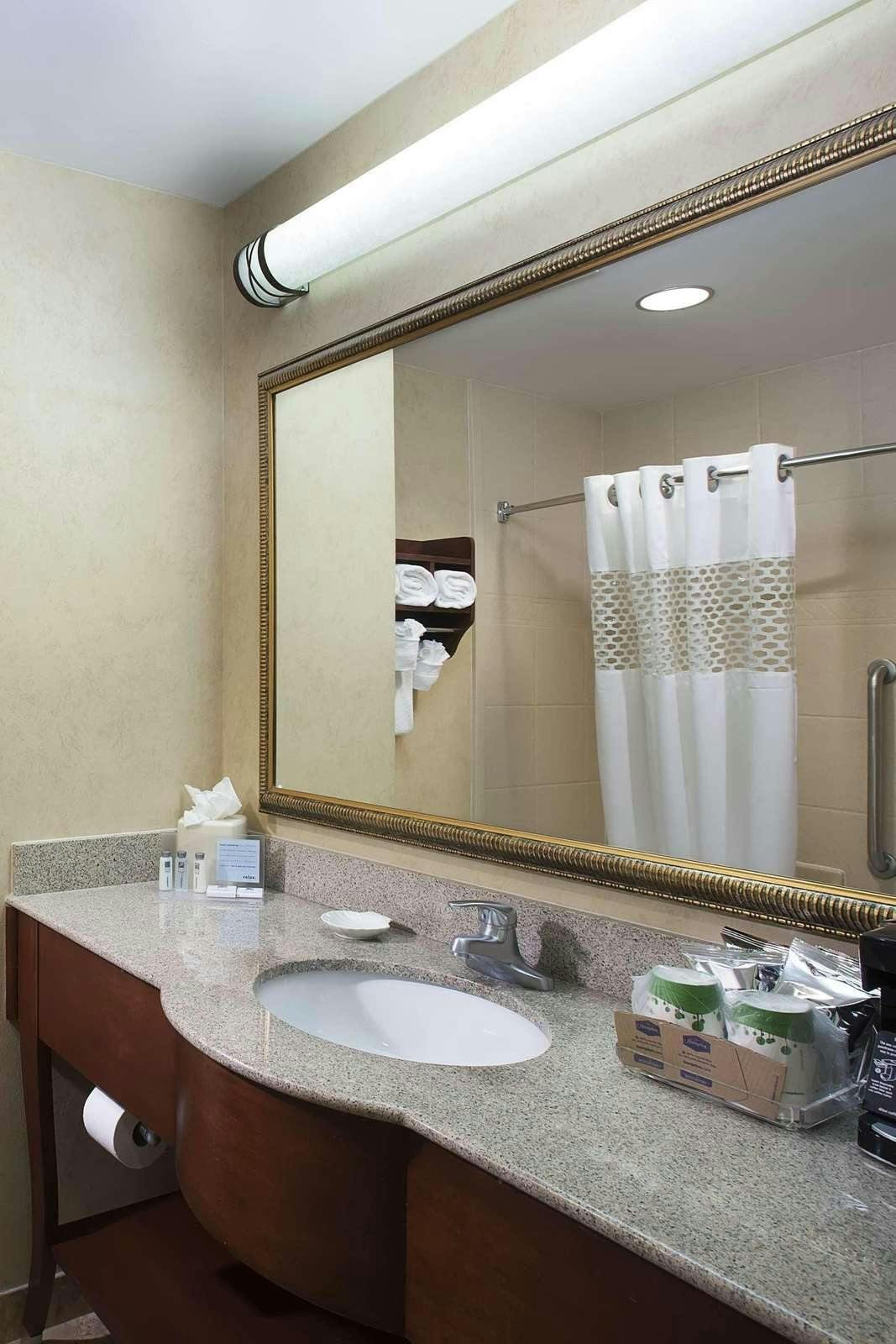 Hotel Hampton Inn Orlando/Lake Buena Vista photo 4