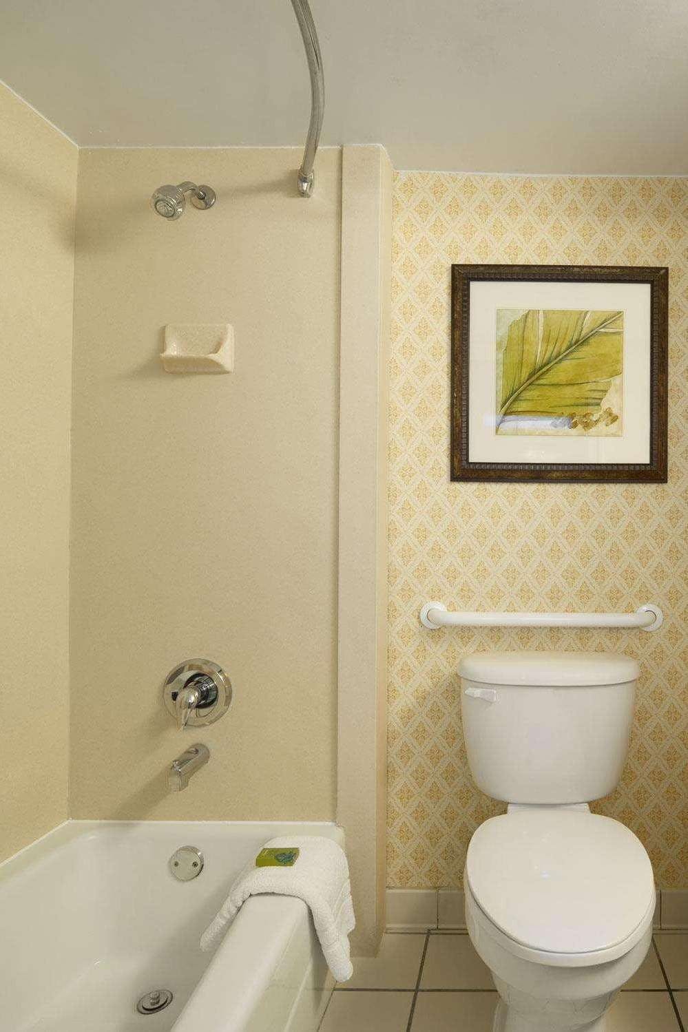 Hotel Embassy Suites by Hilton Orlando International Drive ICON Park photo 3