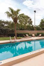 Hotel Embassy Suites by Hilton Orlando International Drive ICON Park photo 5