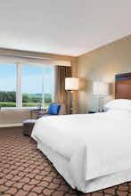 Hotel Sheraton Sonoma County - Petaluma photo 3