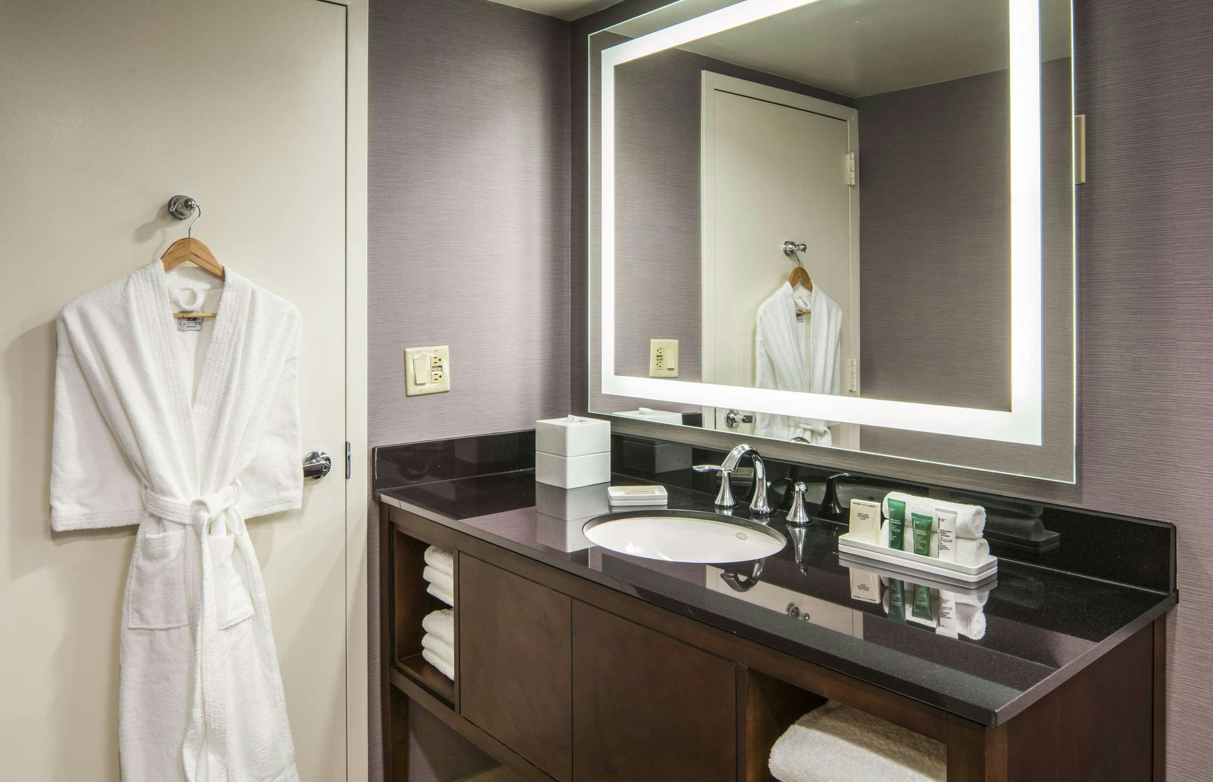 Hotel Hilton Washington DC/Rockville Hotel & Executive Meeting Center photo 4