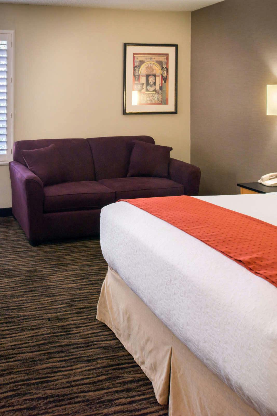 Hotel Holiday Inn Dublin Pleasanton photo 4