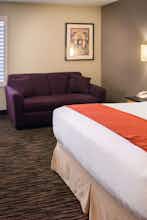 Hotel Holiday Inn Dublin Pleasanton photo 4