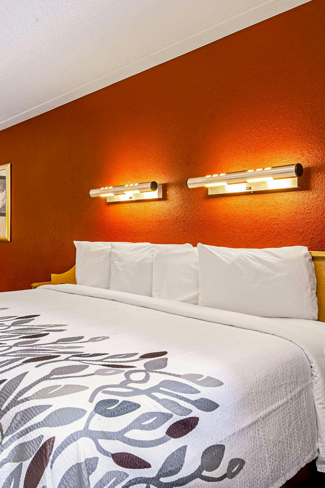 Hotel Red Roof Inn Boston - Southborough/ Worcester photo 2