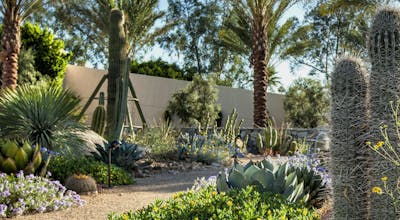 The Scottsdale Resort and Spa, Curio Collection by Hilton