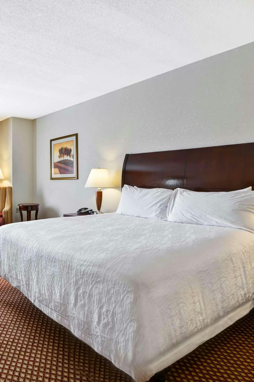 Hotel Hilton Garden Inn Tampa Riverview Brandon photo 2