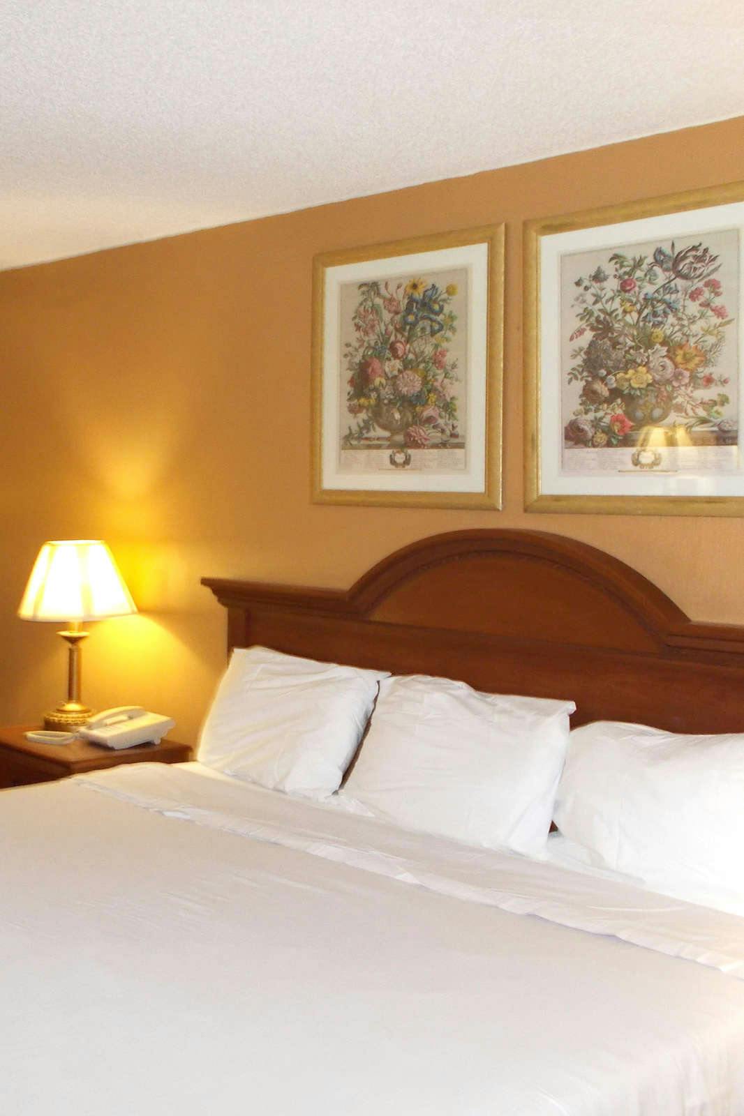 Hotel Royalton Inn and Suites Wilmington photo 2