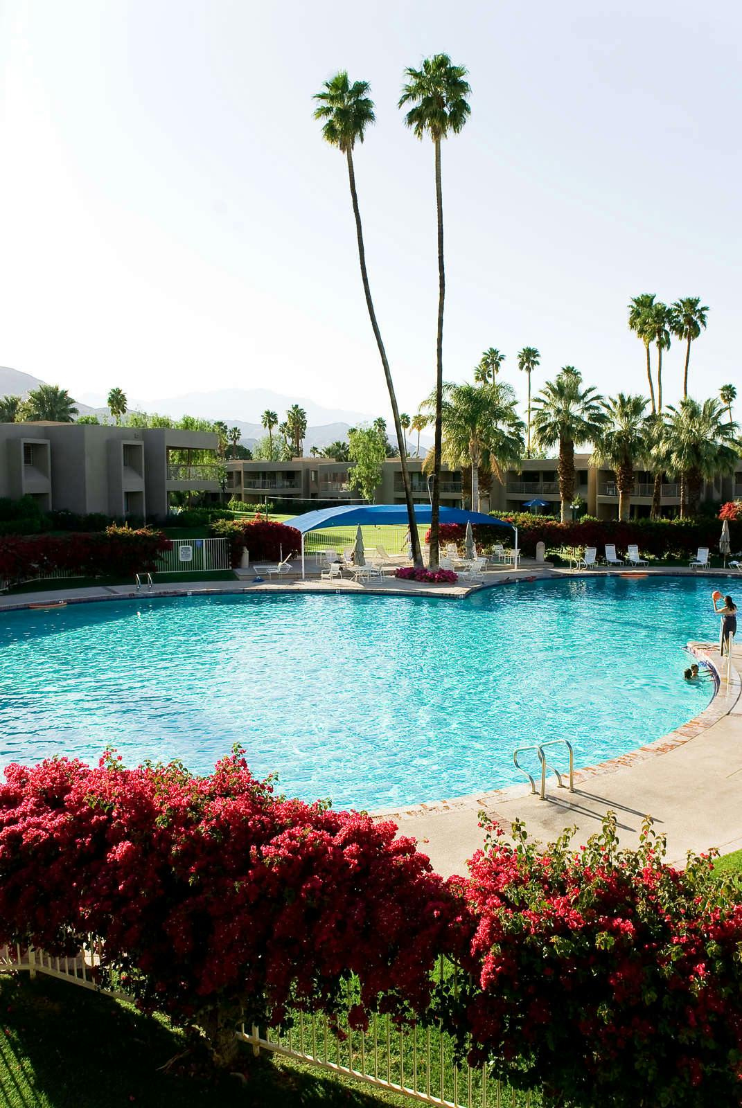 Hotel Shadow Mountain Resort photo 1