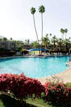 Hotel Shadow Mountain Resort photo 1