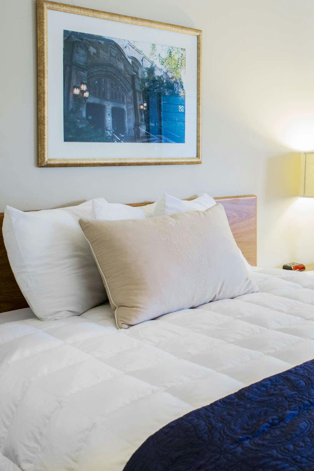 Hotel The University Inn, Ann Arbor photo 4