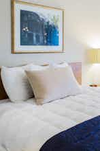 Hotel The University Inn, Ann Arbor photo 4