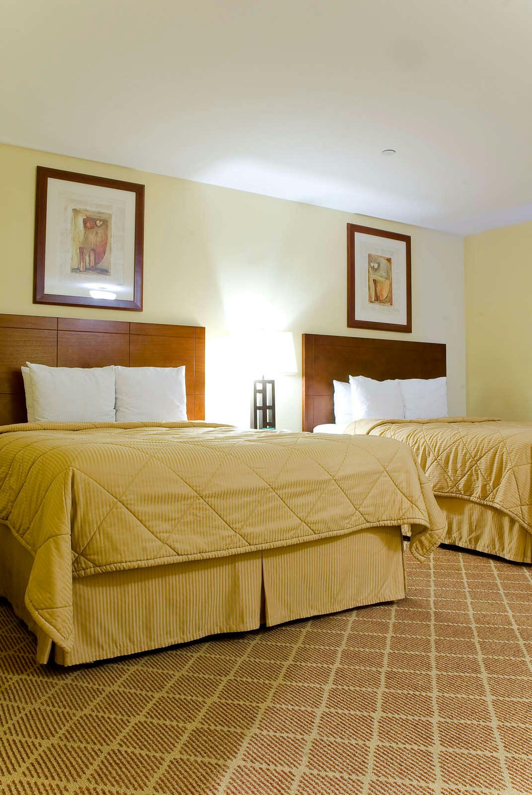 Comfort Inn Cockatoo Near Lax Airport Los Angeles Lax