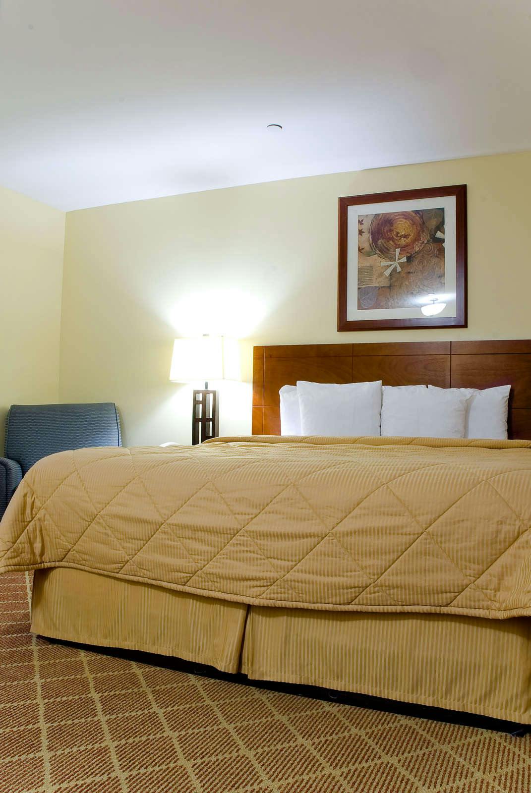 Comfort Inn Cockatoo Near Lax Airport Los Angeles Lax