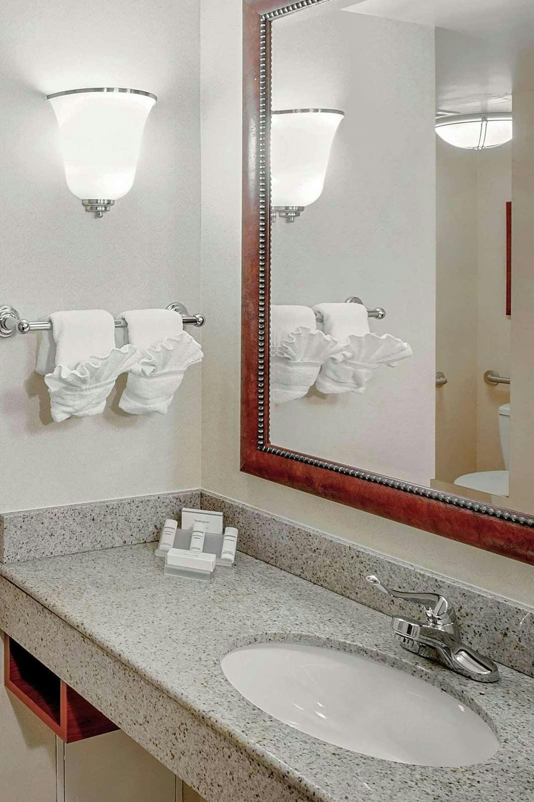 Hotel Hilton Garden Inn Chicago O'Hare Airport photo 4