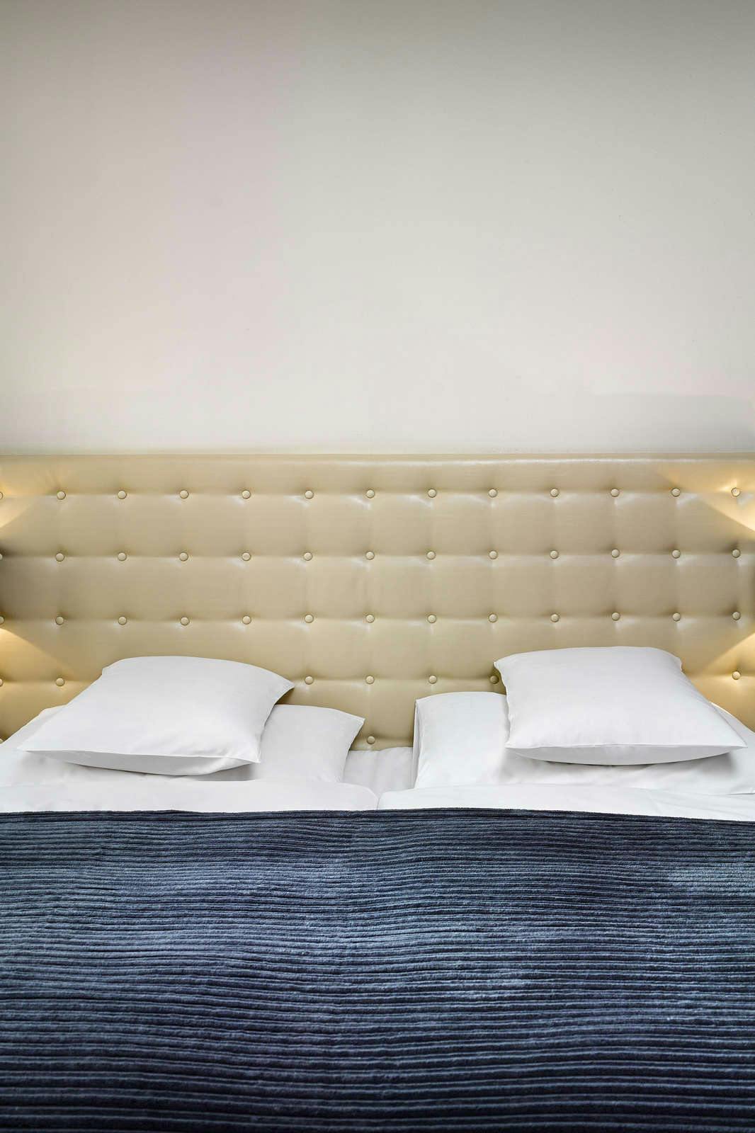 Hotel The ICON Hotel & Lounge photo 2