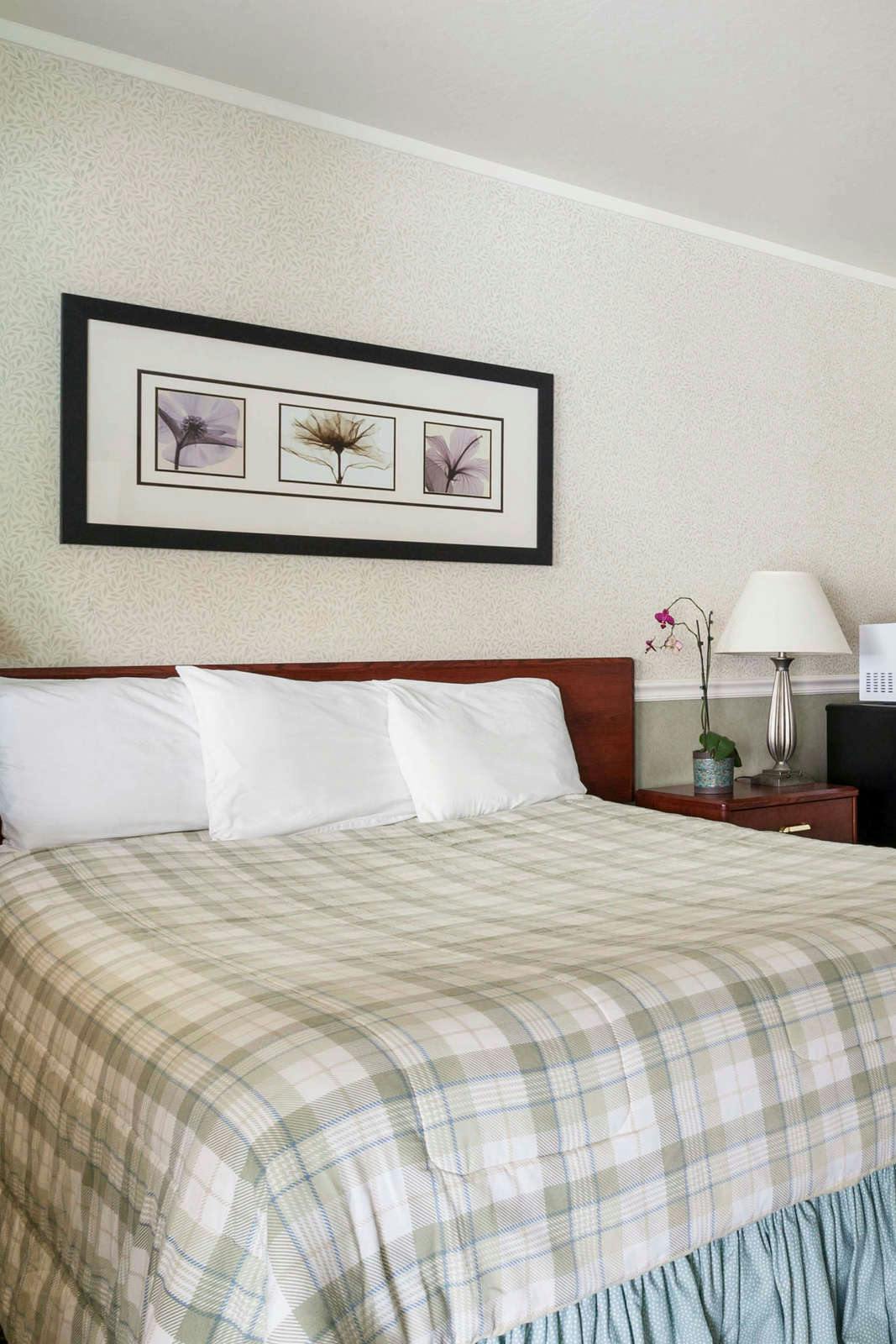 Hotel Diablo Mountain Inn - Walnut Creek photo 3