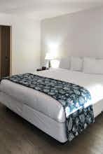 Hotel Diablo Mountain Inn - Walnut Creek photo 4