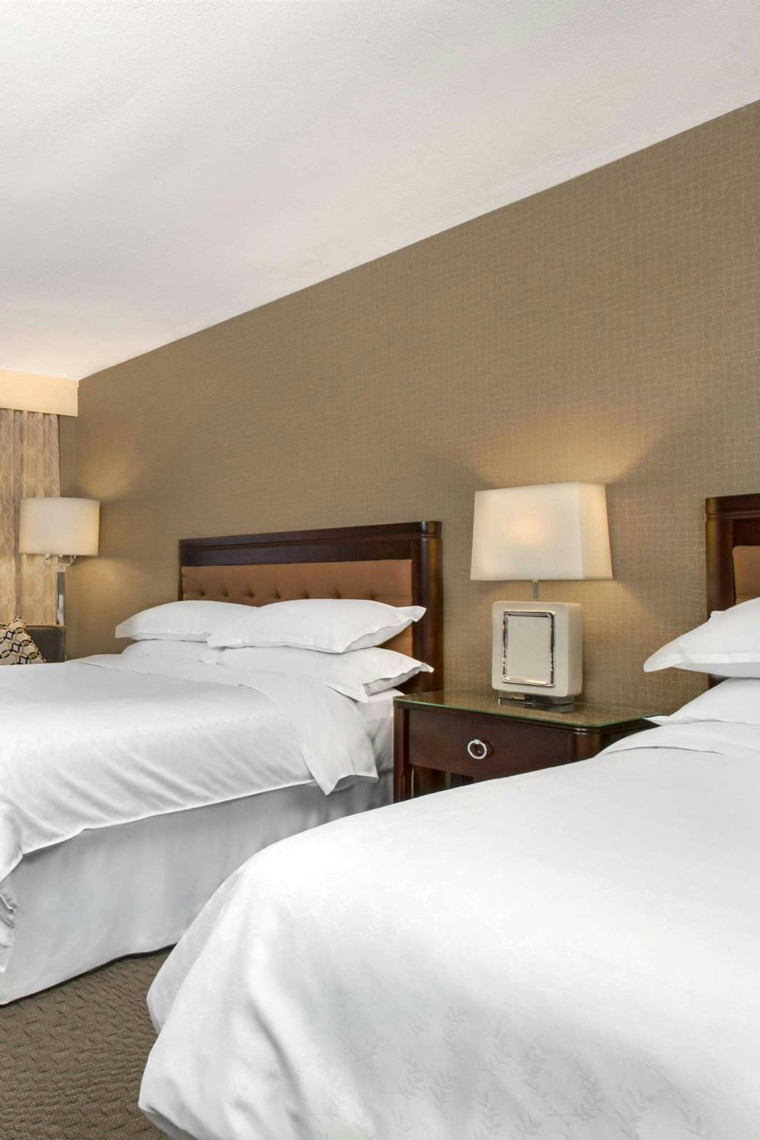 Hotel Sheraton Reston Hotel photo 3