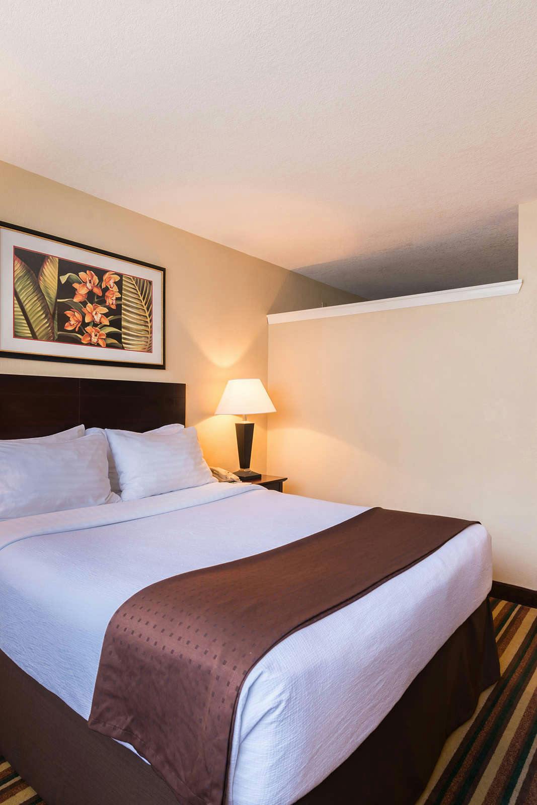 Hotel Holiday Inn & Suites ORLANDO SW - CELEBRATION AREA photo 1