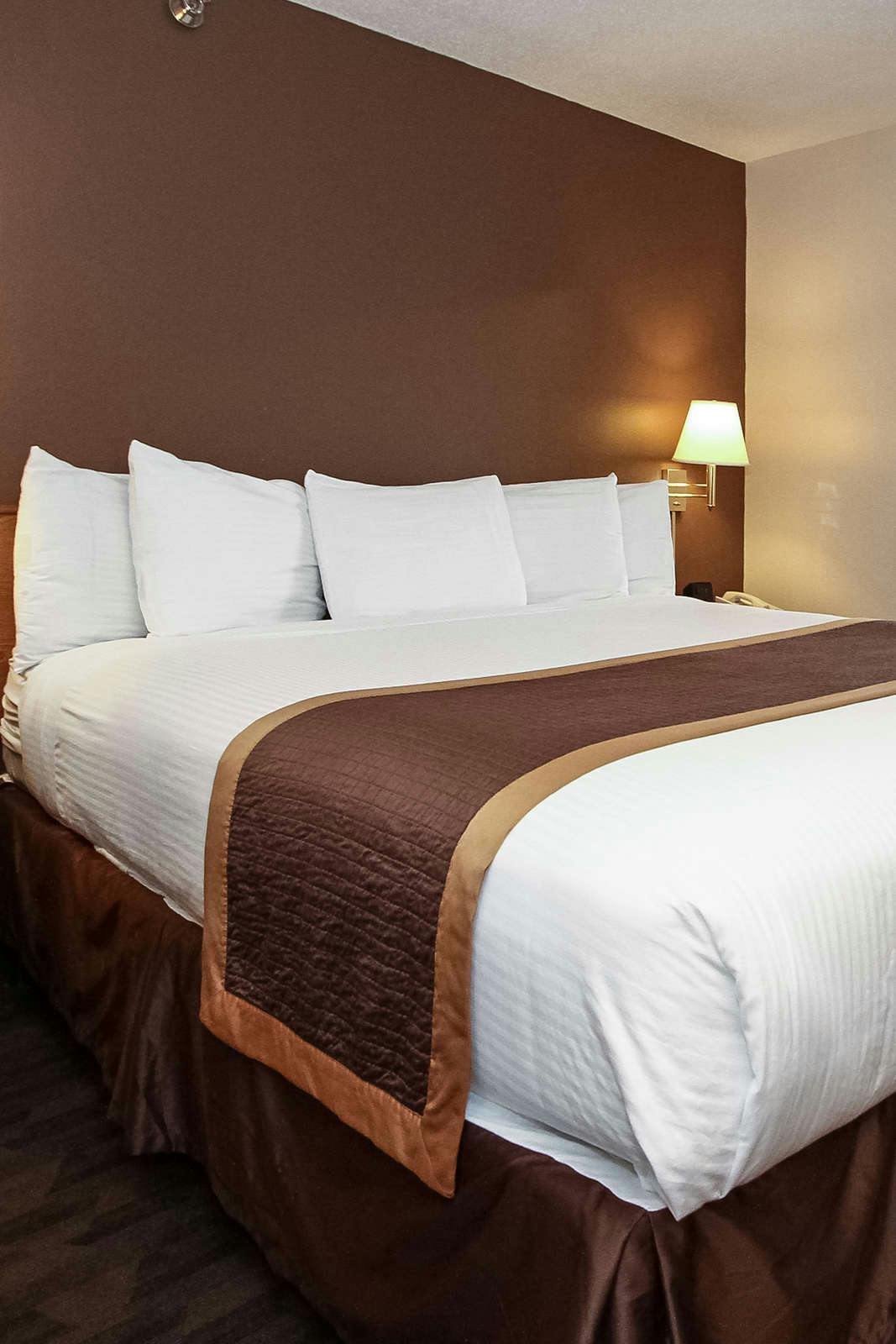 Hotel New Victorian Suites photo 3