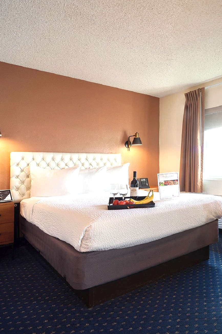 Hotel Hotel Focus SFO photo 4