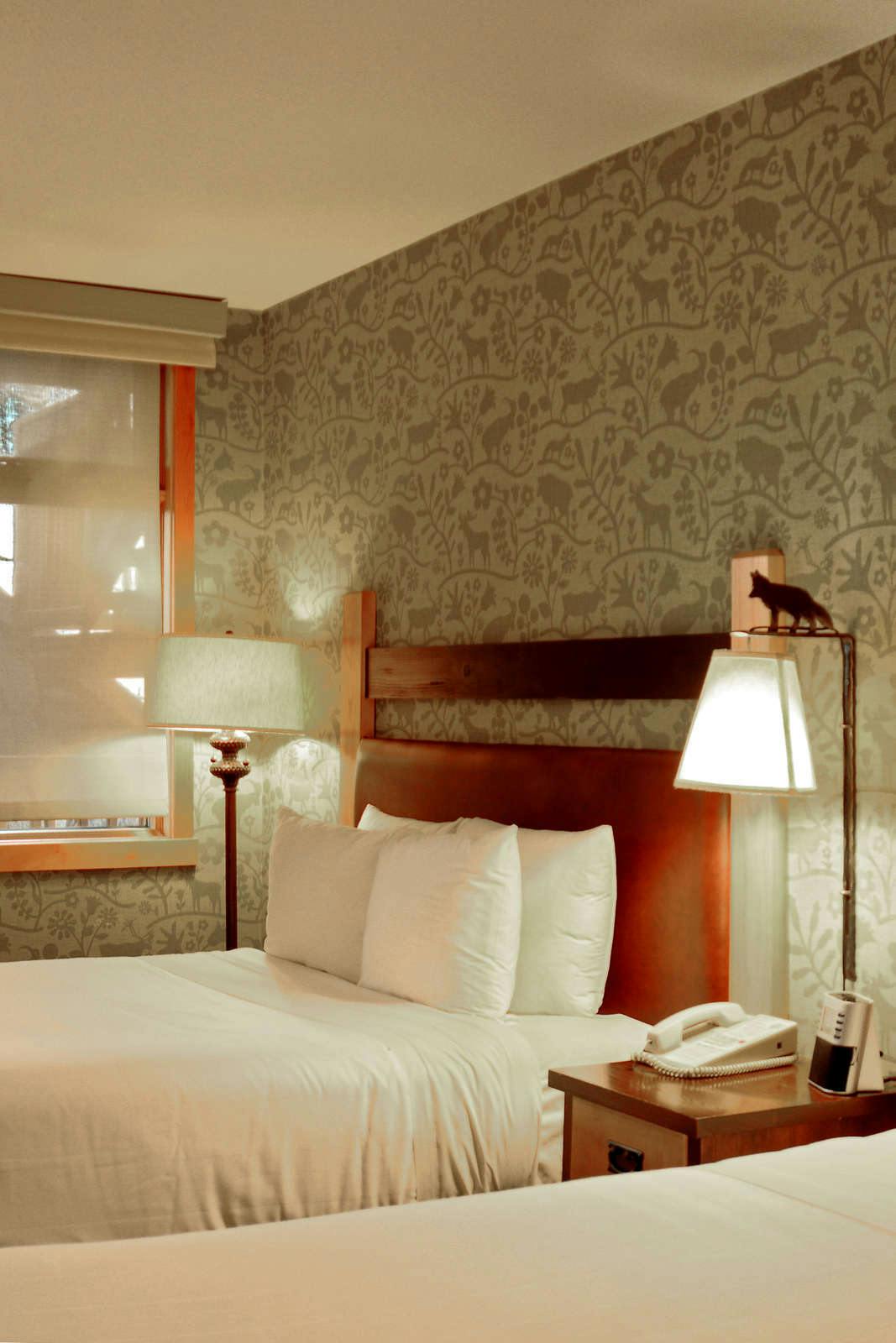 Hotel The Fox Hotel and Suites photo 5