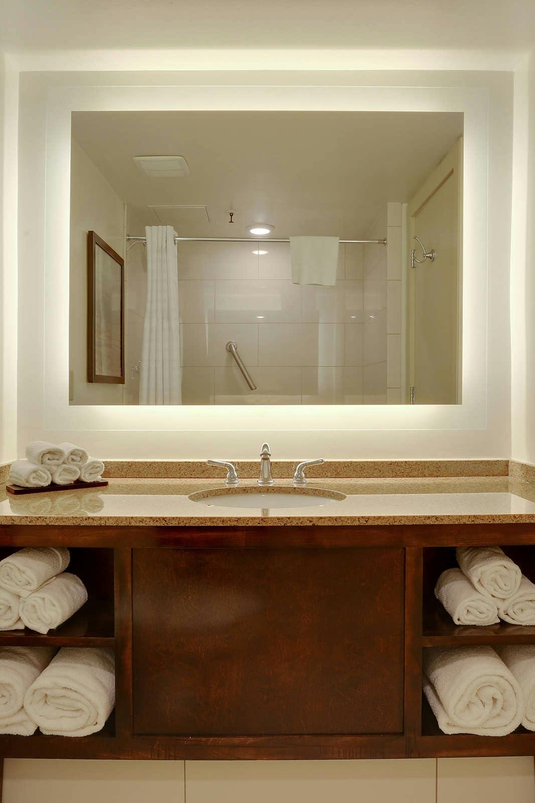 Hotel Embassy Suites by Hilton New Orleans Convention Center photo 3