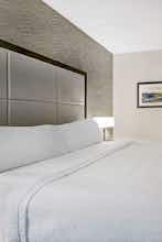 Hotel Homewood Suites by Hilton Chicago-Lincolnshire photo 2