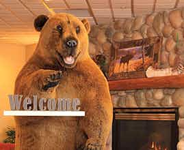 Hotel Hampton Inn Kalispell photo 4