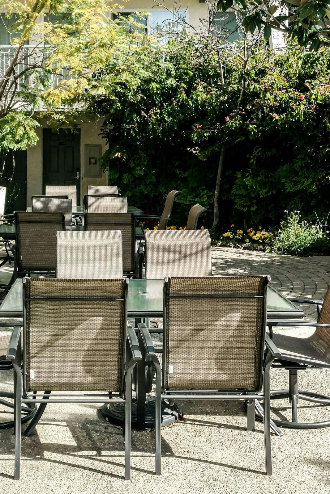 Hotel Hotel Buena Vista photo 5