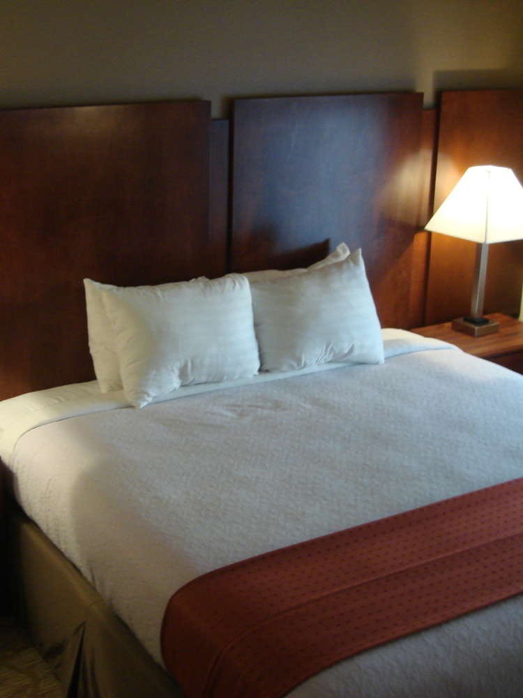 Hotel Holiday Inn Roswell photo 1