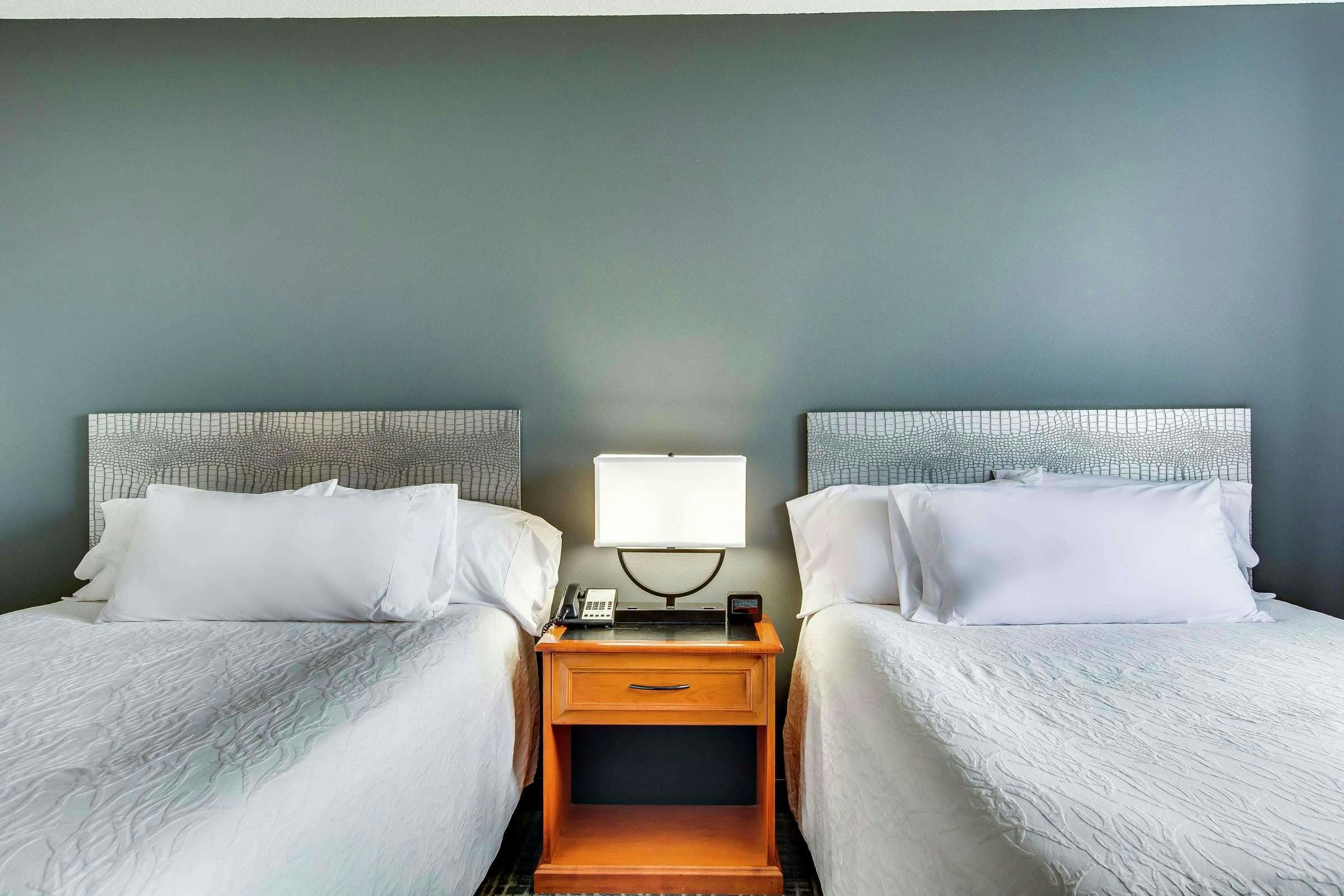 Hotel Hilton Garden Inn Louisville Airport photo 1