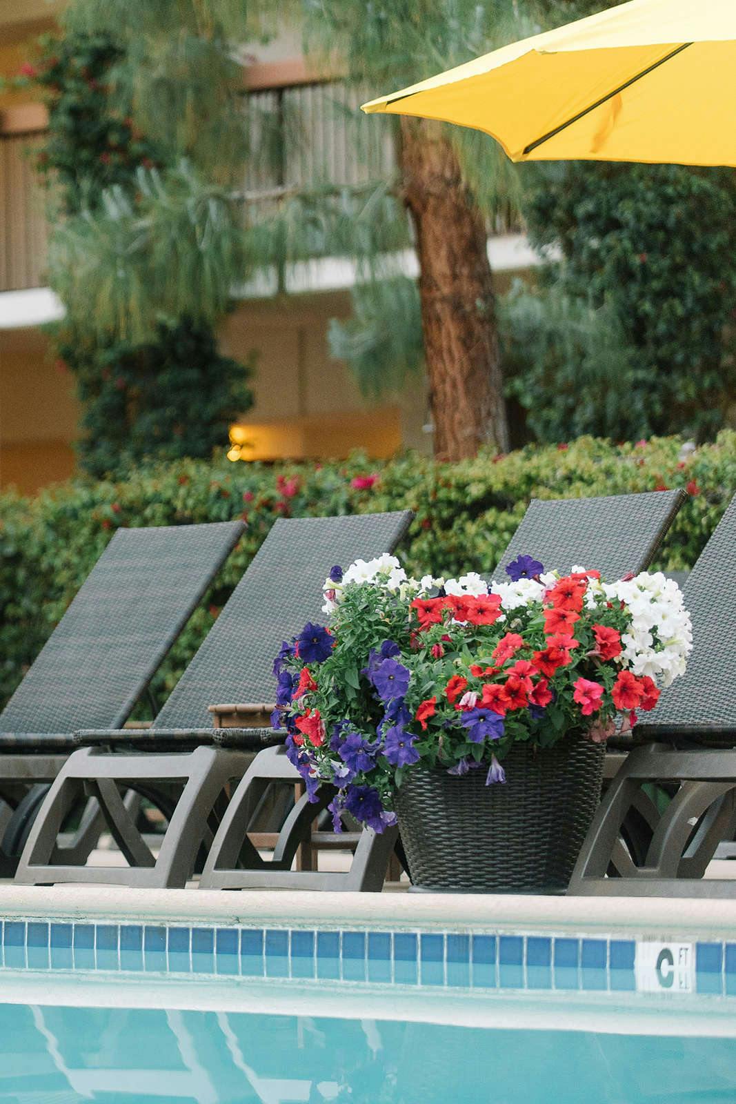 Hotel Palm Mountain Resort and Spa photo 2