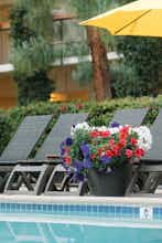 Hotel Palm Mountain Resort and Spa photo 2