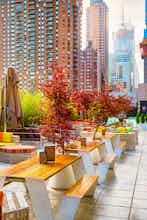 Hotel YOTEL New York Times Square photo 4