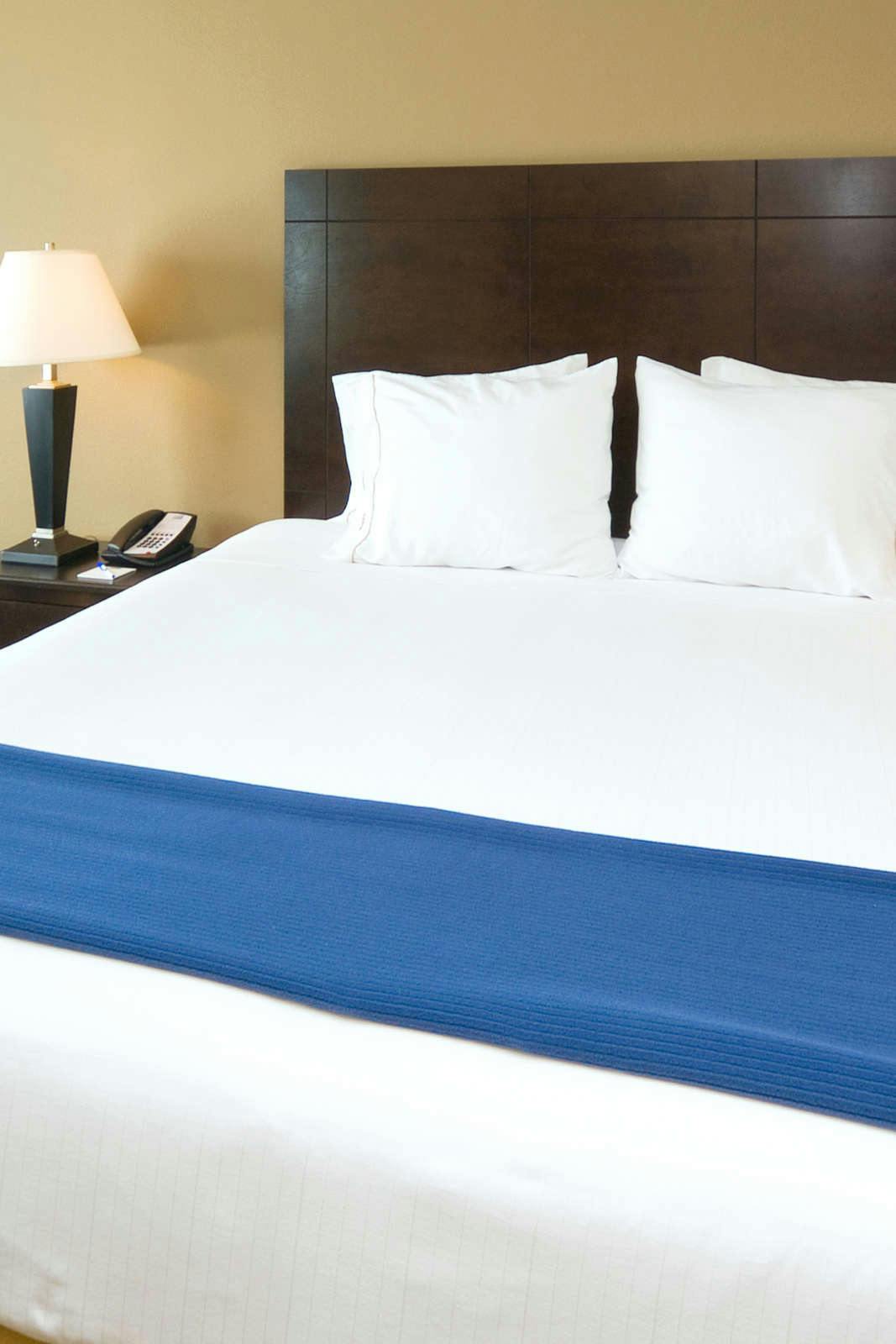 Hotel Holiday Inn Express Hotel & Suites Fort Myers East photo 1