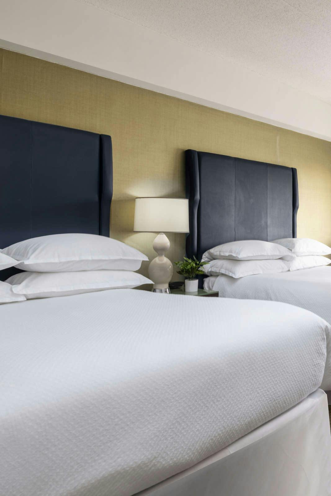 Hotel Stamford Hotel photo 3