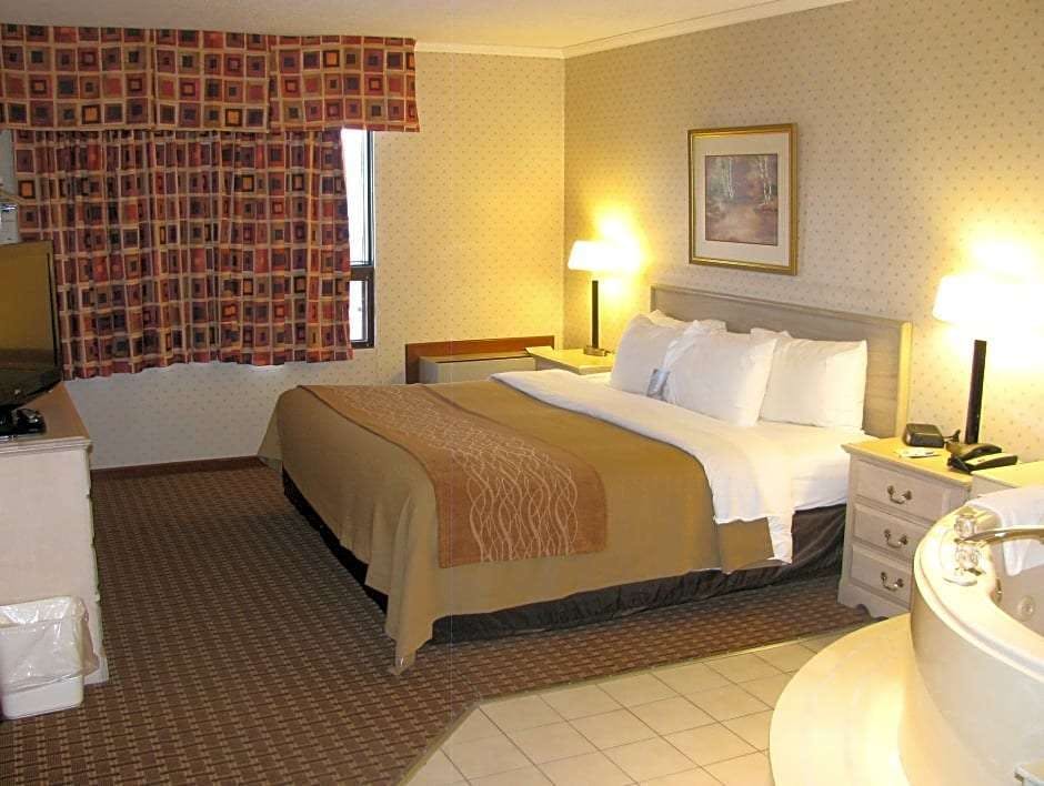 Hotel Comfort Inn photo 2