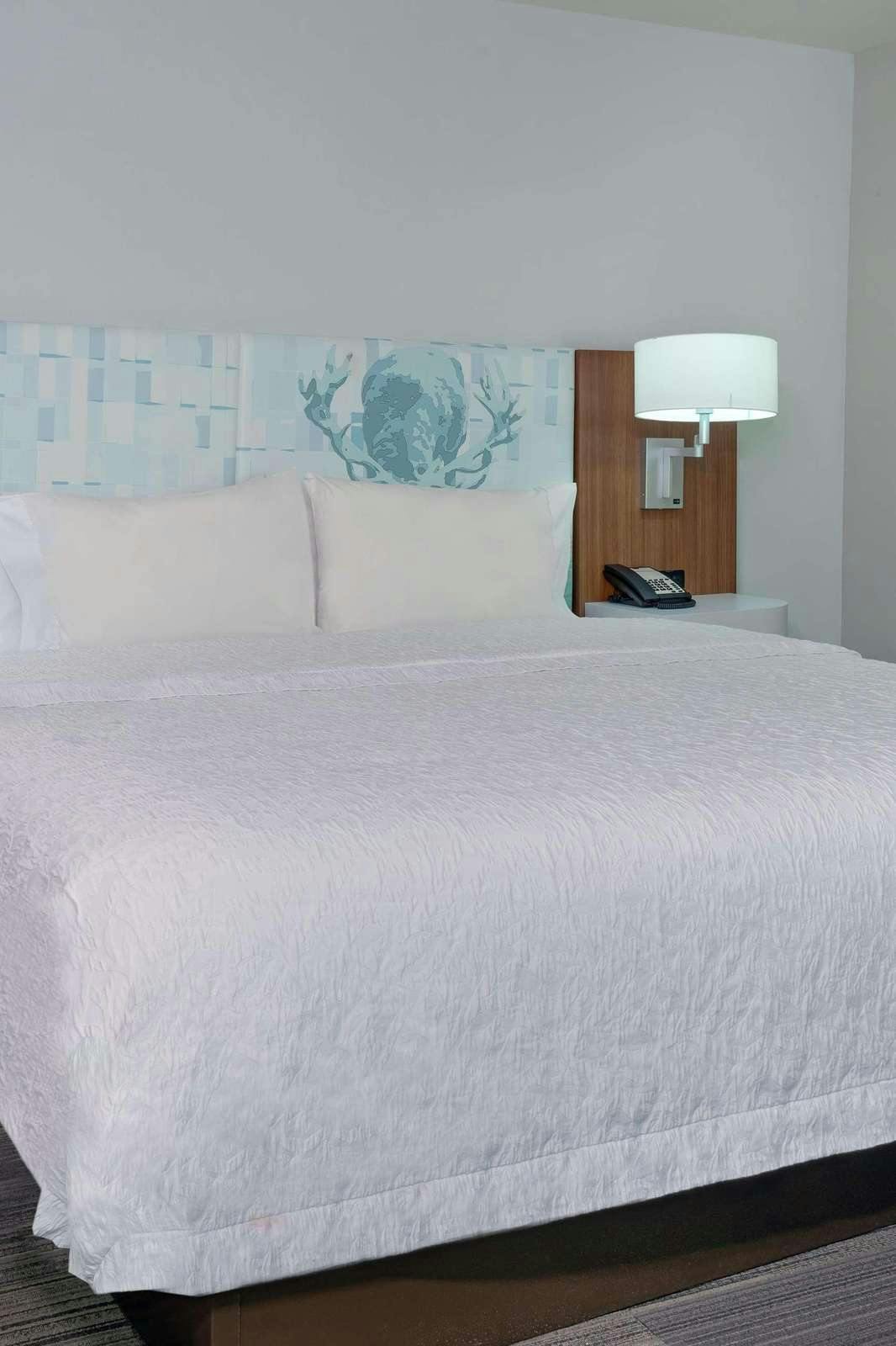 Hotel Hampton Inn & Suites Atlanta Buckhead Place photo 1