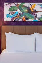 Hotel Hyatt House Tampa Downtown photo 5